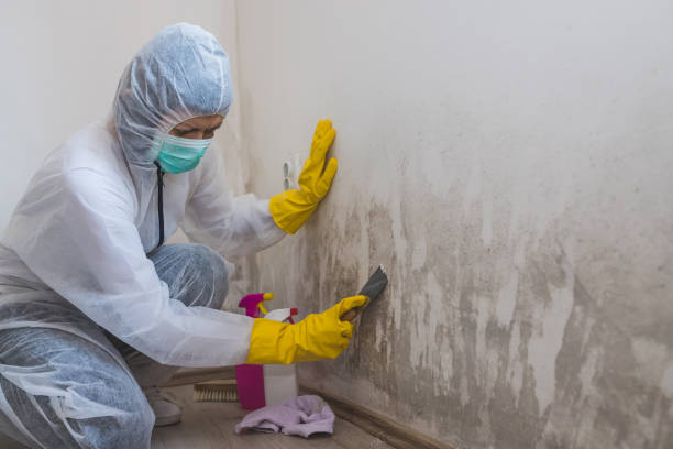 Best Crawl Space Mold Removal  in Fort Atkinson, WI