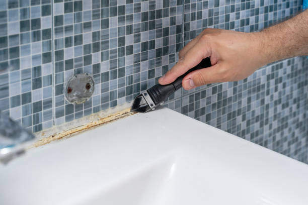 Office Mold Removal Services in Fort Atkinson, WI