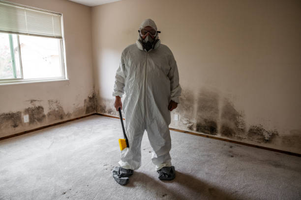 Best Commercial Mold Removal  in Fort Atkinson, WI