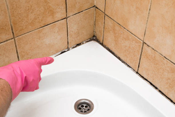 Best Office Mold Removal Services  in Fort Atkinson, WI